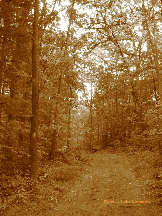 Episode 008 – Deer Whisperer