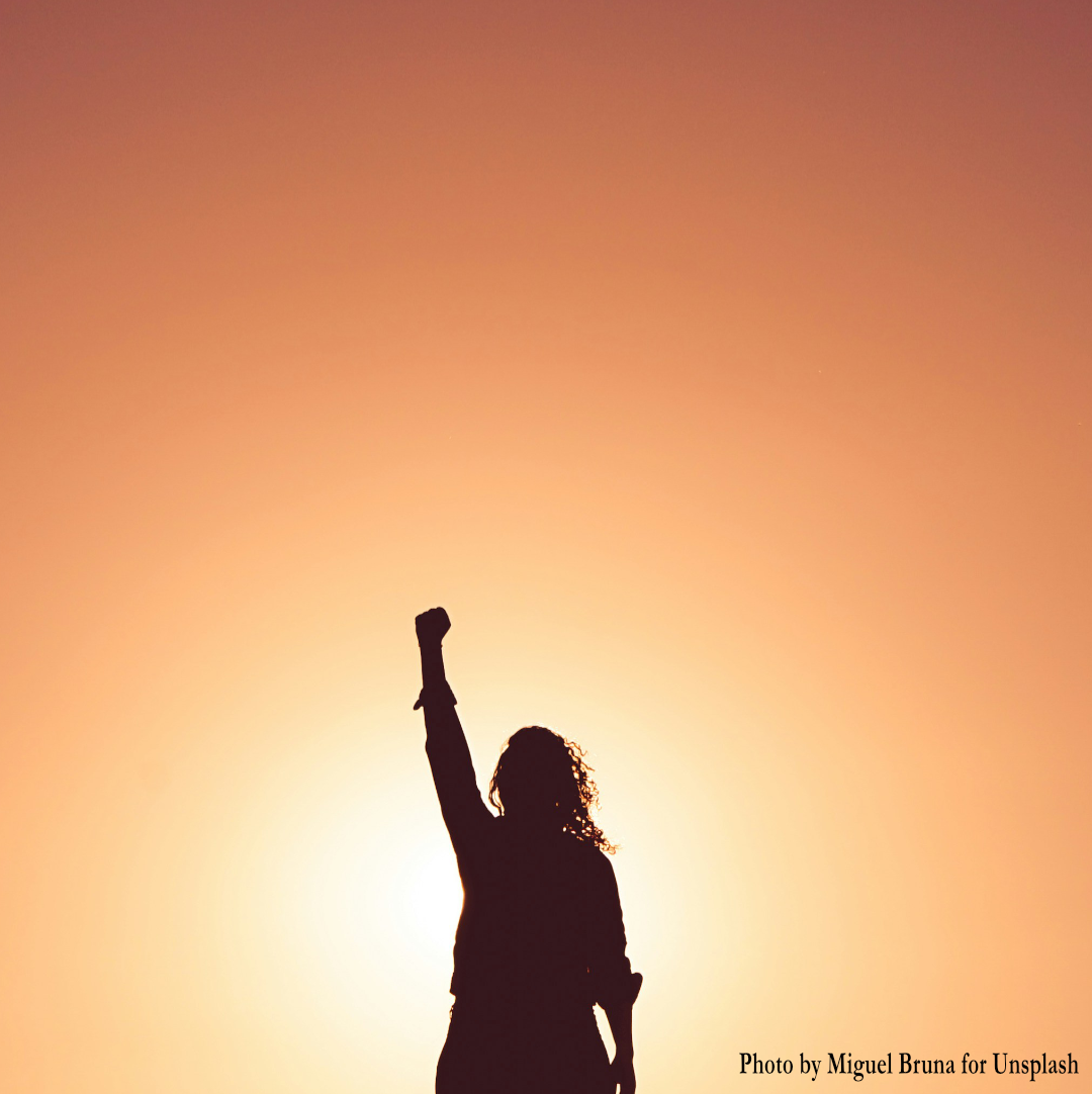 Episode 014 – Screenplayer