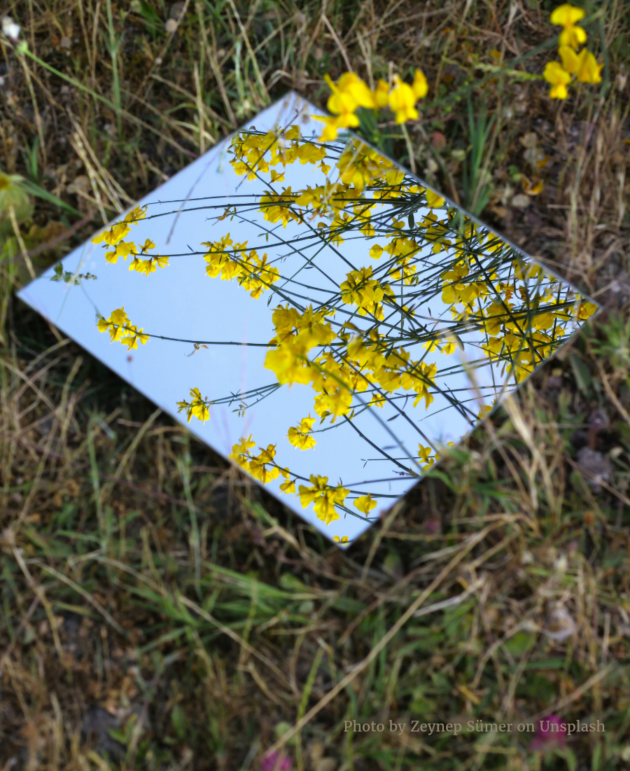 Season 02 Episode 002 – Our New Novel