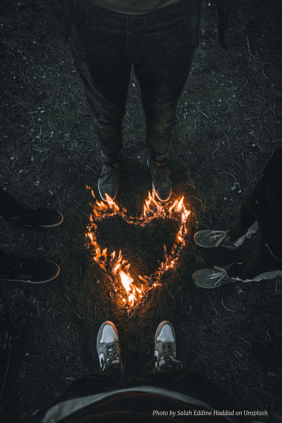 Season 02  Episode 006 – Poly Wants a Cookie